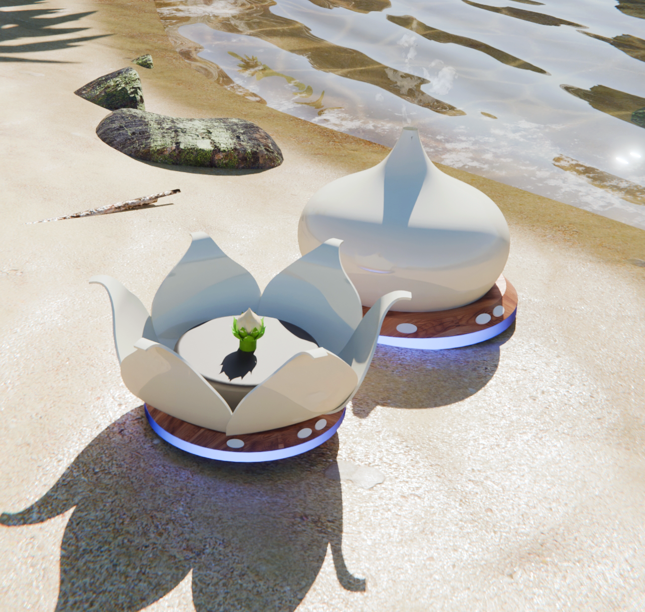 Root on beach